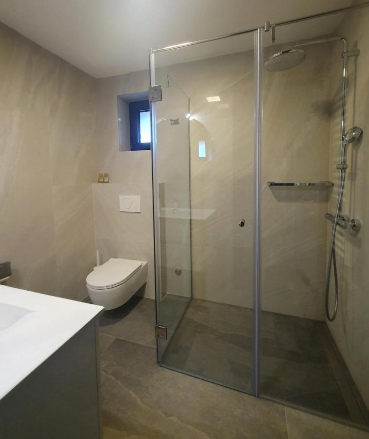 Villa Vrleti Tare à Bajina Basta Extérieur photo