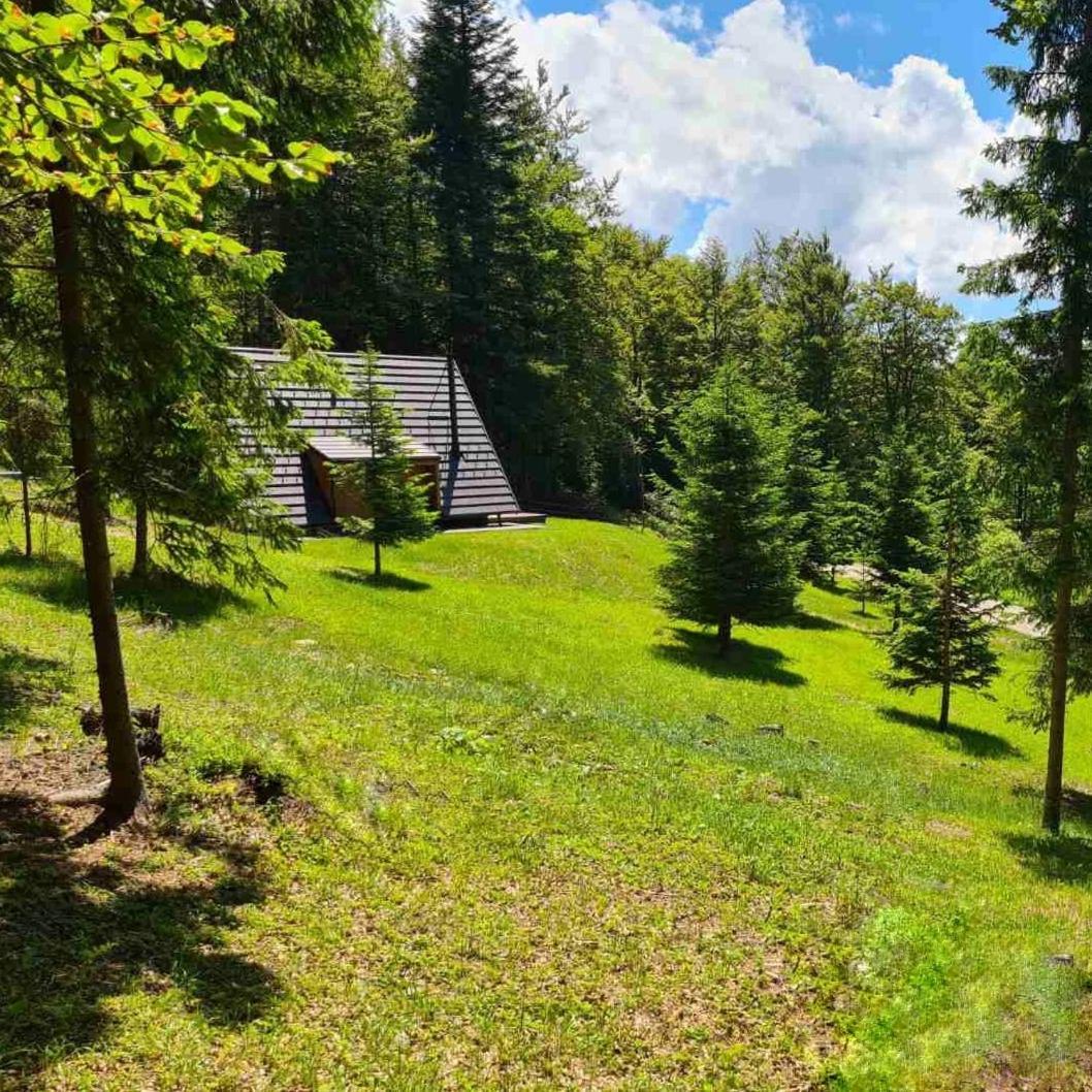 Villa Vrleti Tare à Bajina Basta Extérieur photo